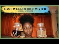 RICE WATER LAST WEEK (4) UPDATE BEFORE FINAL!