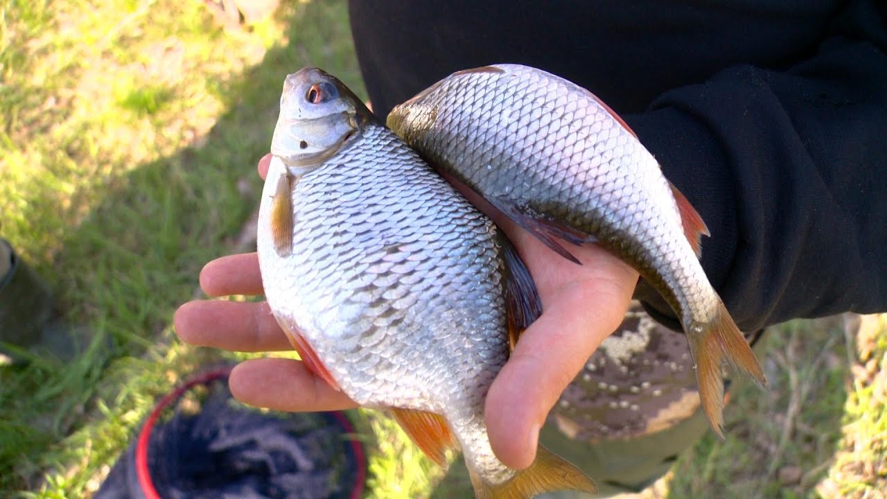 Рыбак Рыбаку 541 