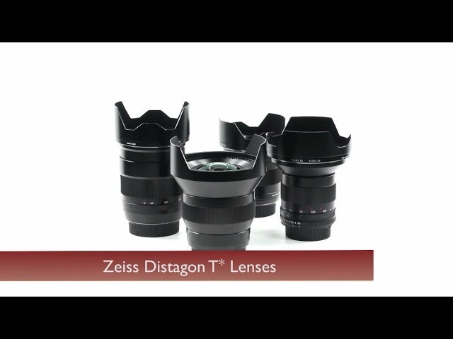 まめたんく　ソニー　Carl Zeiss Distagon Zeiss 35mm f/1.4 Distagon T* ZM Lens for Leica M, Silver