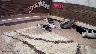 video23400