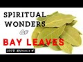 HOW TO ATTRACT POSITIVE ENERGY WITH BAY LEAF...