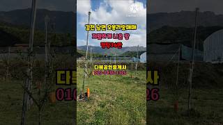 [김천토지]김천 남면 오봉리땅매매