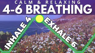 4-6 Breathing for Stress (in 4 out 6)