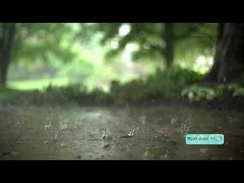 Relaxing music and soft rain sounds | Sleep Music, Relaxing Music, Meditation Music , Peaceful music