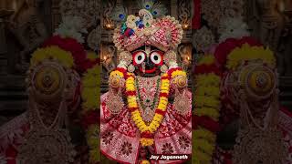 kalia heijiba kale tikiye gora#odia jagannath vajan #odisha