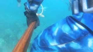 Download lagu ShoreLine Divahz Episode 3