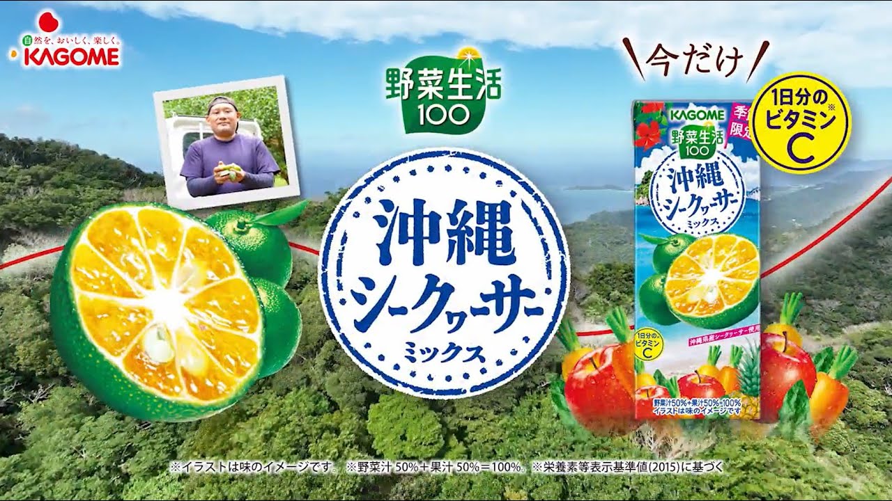 96本 野菜生活100沖縄シークヮーサーミックス195ml 2640 カゴメ (D