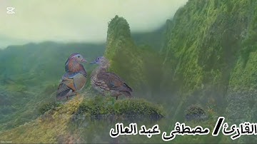 إِنَّ لِلْمُتَّقِينَ عِندَ رَبِّهِمْ جَنَّاتِ النَّعِيمِ/ سورة القلم /القارئ/ مصطفى عبد العال