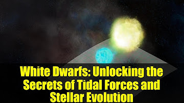 White Dwarfs: Unlocking the Secrets of Tidal Forces and Stellar Evolution