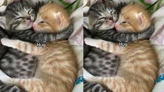 Warm virtual hug 🫂 screenshot 2