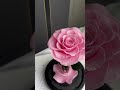 Ewige rosa Rose im Glas 🌸 Langlebige Rose in Geschenkbox – Lieferung in ganz Deutschland