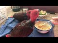 Baby Eclectus feeding time