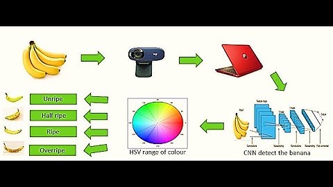 #finalyearprojects  2020 | Online Banana Maturity Inspection using Convolutional Neural Network