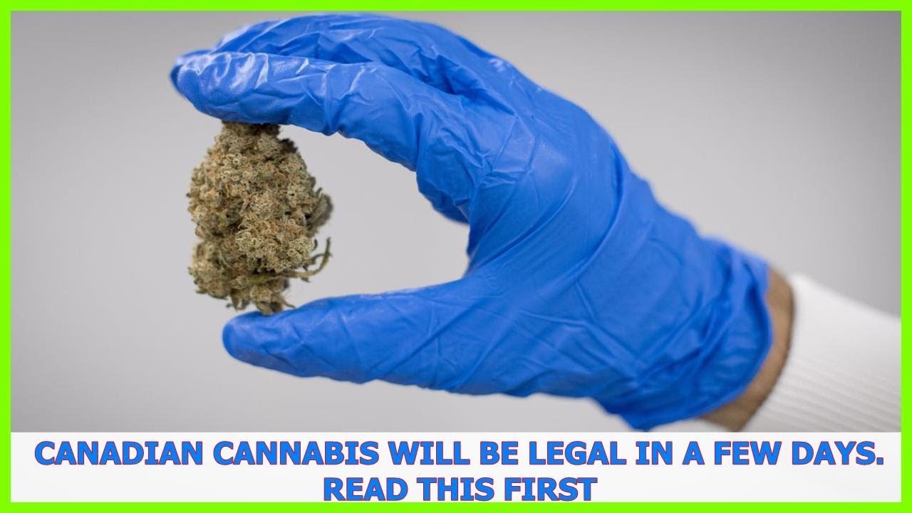 Canadian cannabis will be legal in a few days. Read this first
