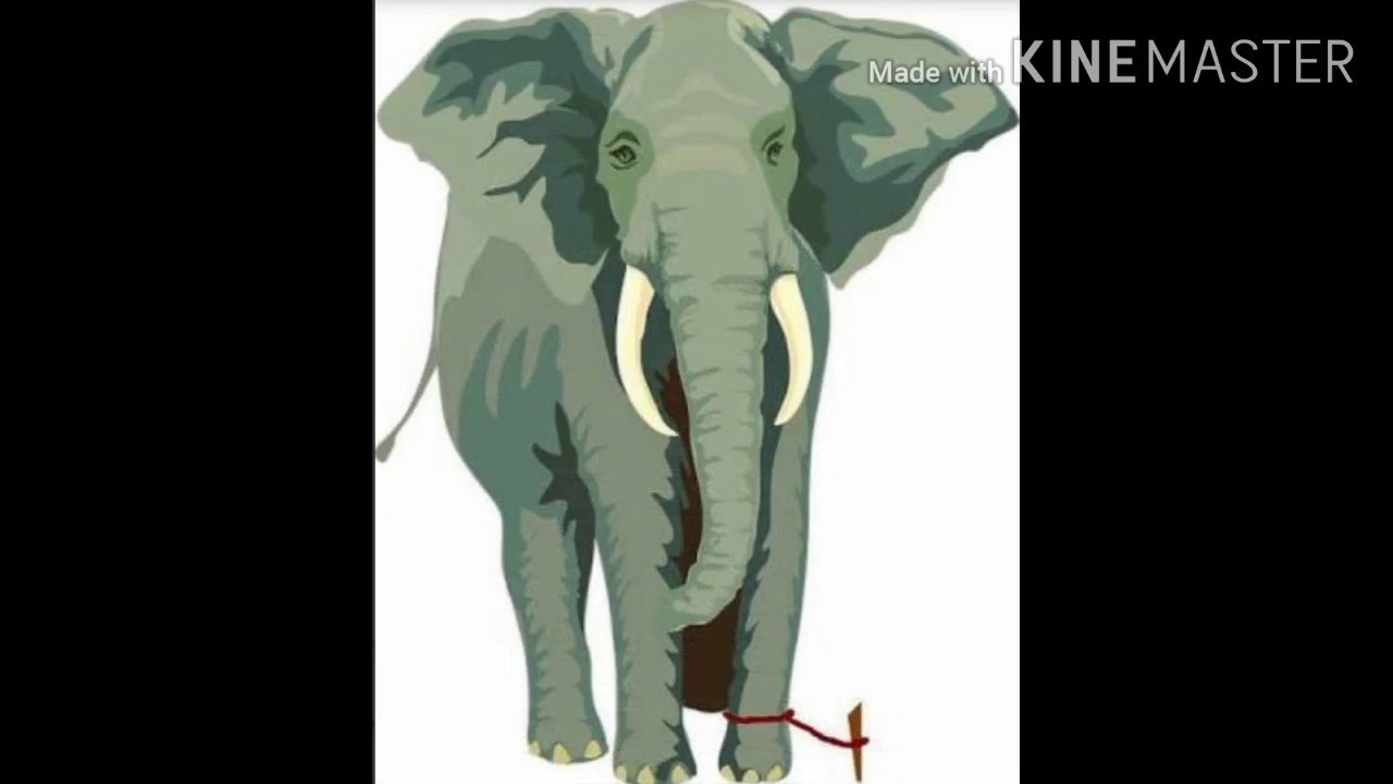 Elephant strategy in telugu YouTube