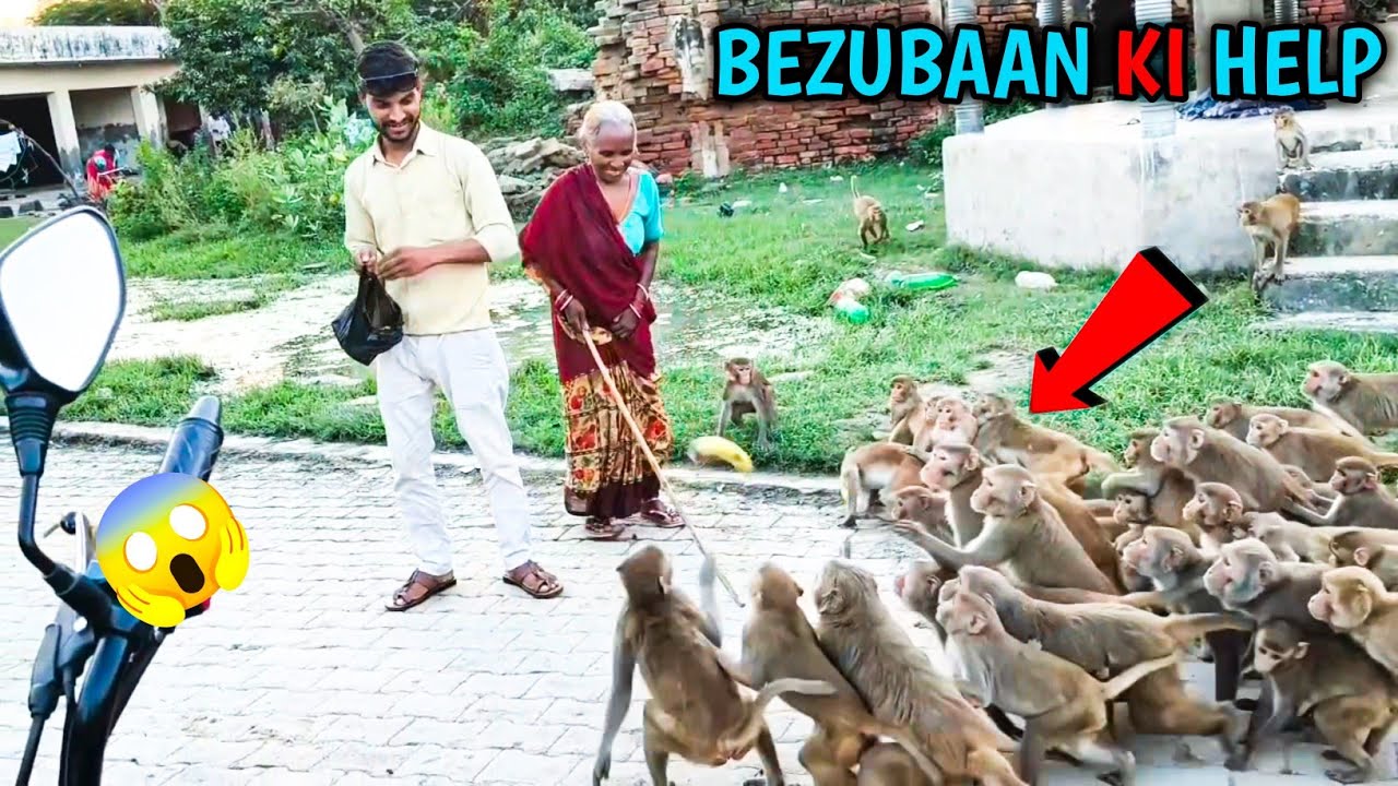 बेजुबान की छोटी सी हेल्प🤏 | दोस्तों बेजुबान की हेल्प करके दिल को मिला सुकून | Andhera Vlog 