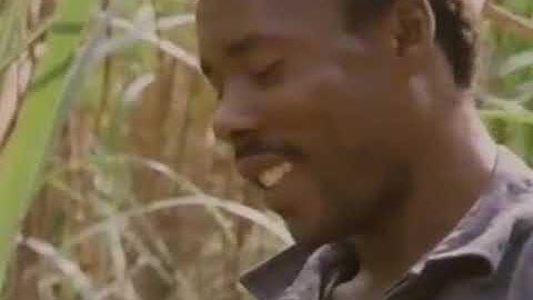 Thumbnail of Sister Nancy - Bam Bam (Music Video)