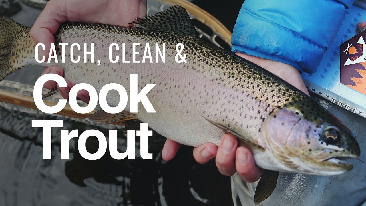 Trout Catch Clean and Cook: The BEST way to cook rainbow trout