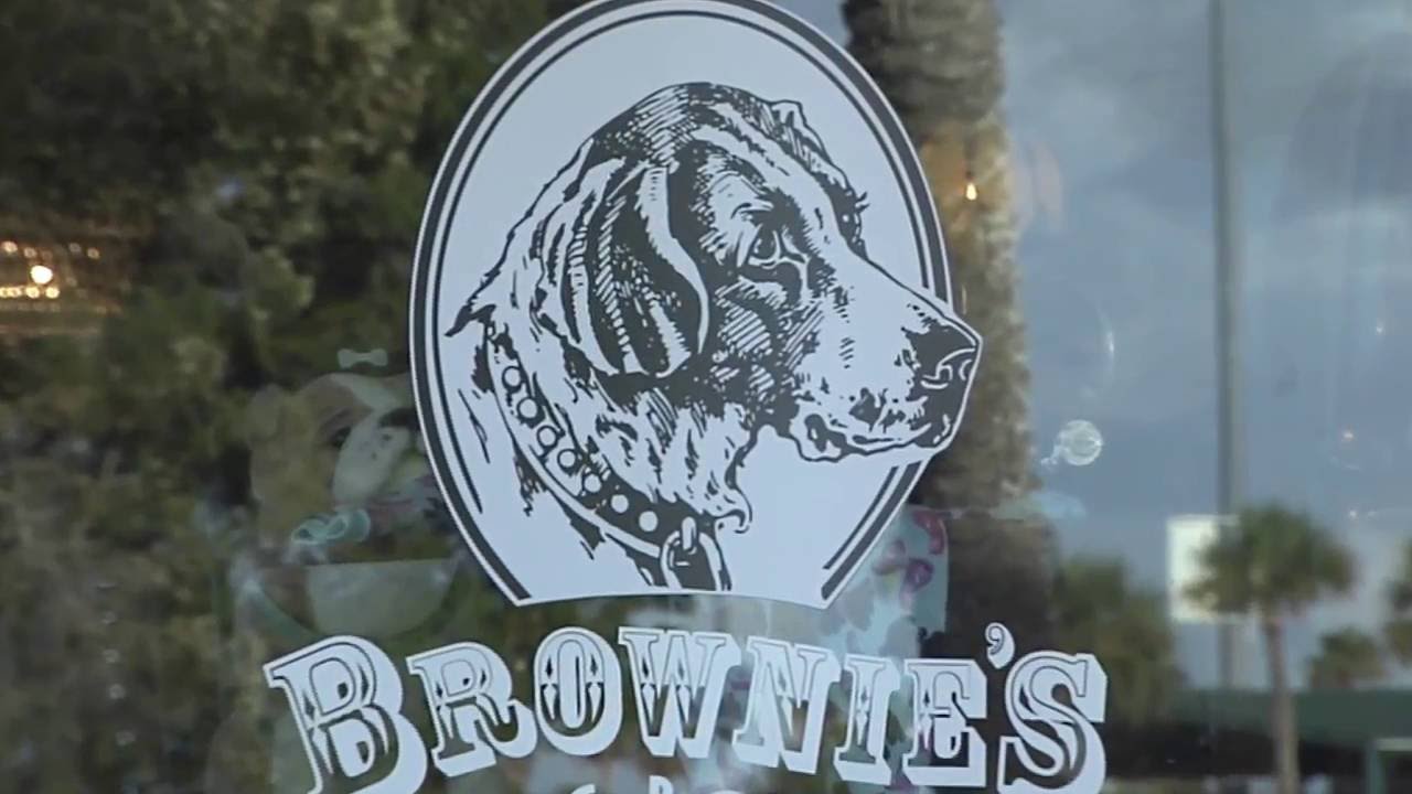 Brownies Dog Boutique YouTube