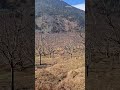 Plot in Manali Himachal Pradesh