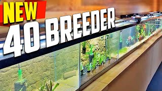 Transforming Every 40 Gallon Tank In My Fish Room One by One - Fish Room Update Ep. 121 Setting Up Our 40 Gallon Fish Tank