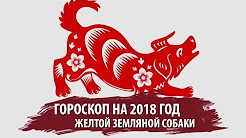 ГОРОСКОП НА 2018 ГОД ЖЕЛТОЙ ЗЕМЛЯНОЙ СОБАКИ ДЛЯ ВСЕХ ЗНАКОВ ЗОДИАКА!