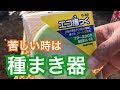 【キャベツ】【種まき】【田舎暮らし】野さ炒めに最適キャベツ播種宮城県でスローライフ