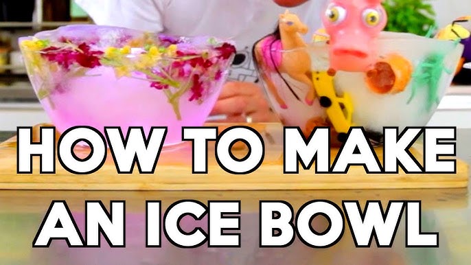 Laura Ashley Champagne Bucket Ice Mold, Create a Custom Ice Bucket