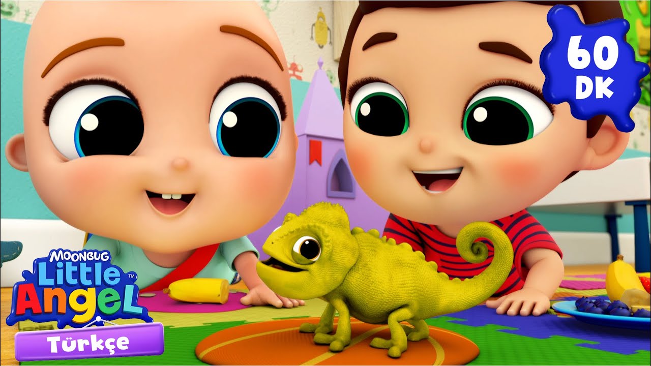 Yeni Evcil Hayvanım 🦎 | LITTLE ANGEL | Çocuk Çizgi Filmleri | Moonbug Kids Türkçe