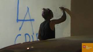 LA Crip Graffiti APL in Hollywood
