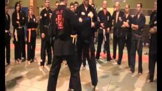 American Kenpo seminar in France, Ed. Downey and J. Burgess