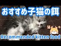 おすすめ激安ねこの餌｜カルカン・まぐろパウチ子猫用キャットフード。総合栄養食のご飯のかわいい子猫動画