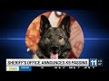 El Paso County Sheriff’s Office announces K9 Mako died after diagnosed with ‘rare and aggressive’...