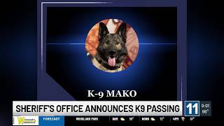El Paso County Sheriff s Office announces K9 Mako died after diagnosed with rare and aggressive