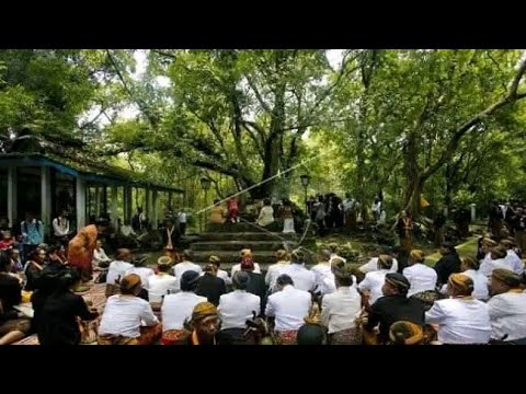Video: Apakah pemakaman hijau kensal buka?