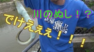 間違って謎の巨大生物を釣ってみた【底流の猛者現る】