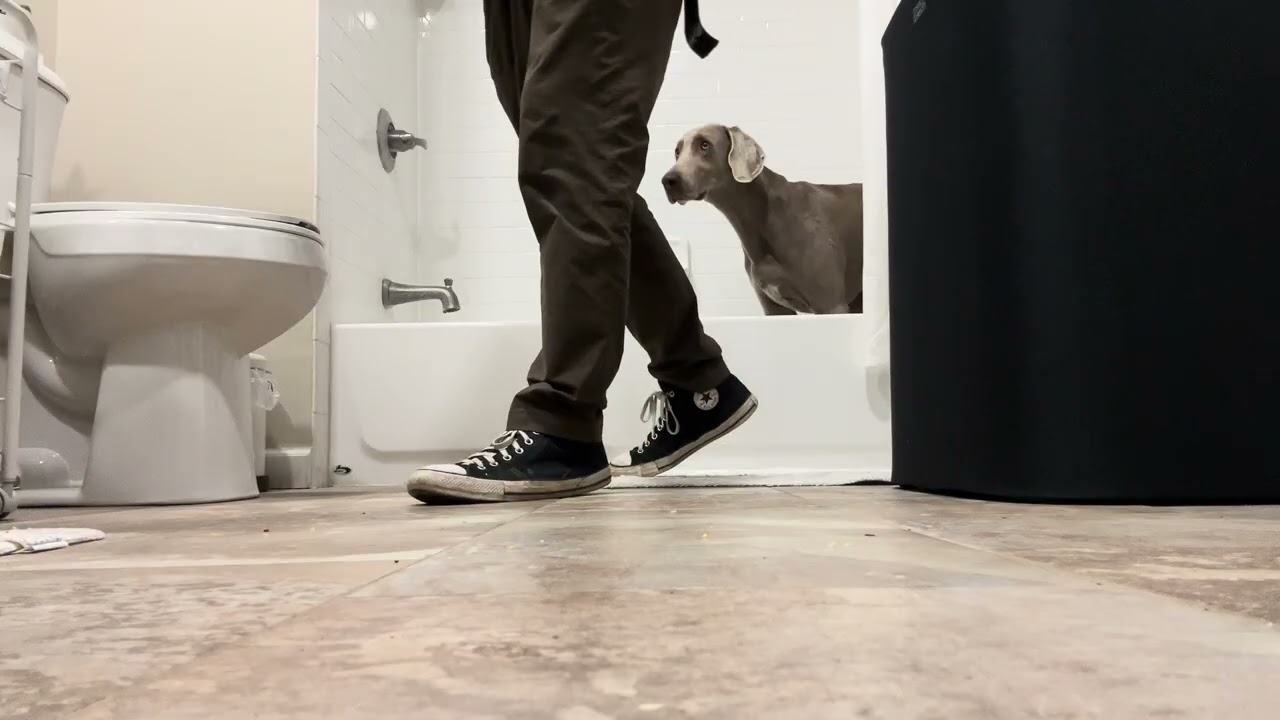 Ozzy Bath Tub DS/CC Part 2 - Boring but Effective! 