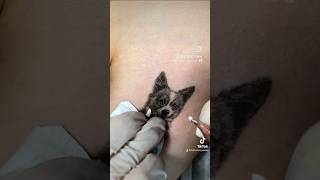 Dog portrait tattoo #shorts