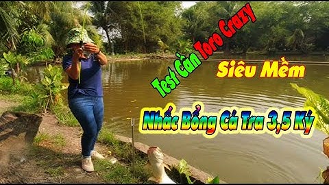 Test Cần Toro Crazy Siêu Mềm Câu Cá Tra Hồ Câu Cá Đại Quang Minh Quá Phê