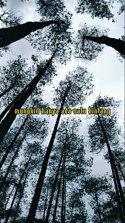 Antique - Satu Bintang || Story WA