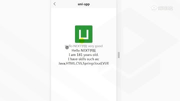 多端应用一次搞定，uni-app商业级应用开发实战教程-在页面里使用{{}}表达式