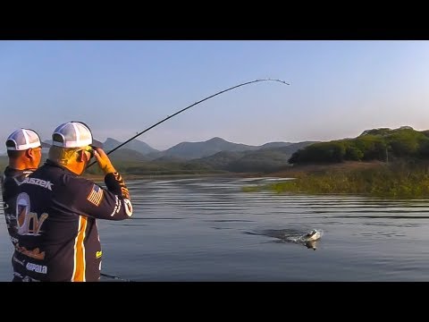 Start Catching Bass Fishing Swimbaits - Roumbanis