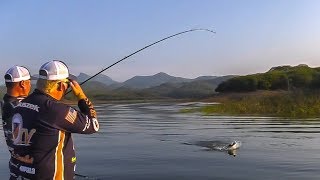 Swimbait Fishing SECRETS Pros Don't Want You to Know