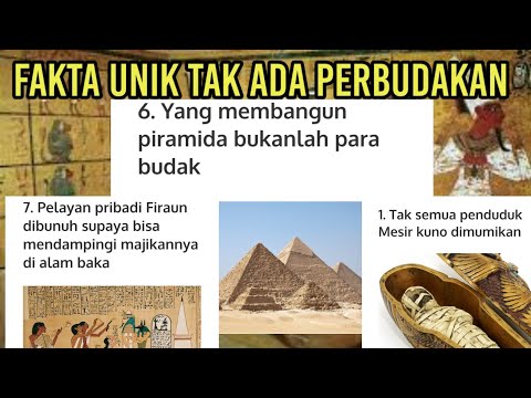 Video: Haiwan Suci Mesir Kuno