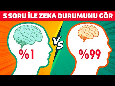 5 Kolay Soru ile Zekanız Ne kadar Çalışıyor Öğrenin