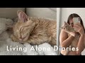 Living alone diaries  adopting a kitten vlog