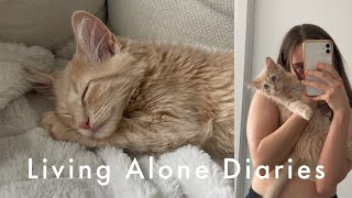 Living Alone Diaries ~ adopting a kitten vlog