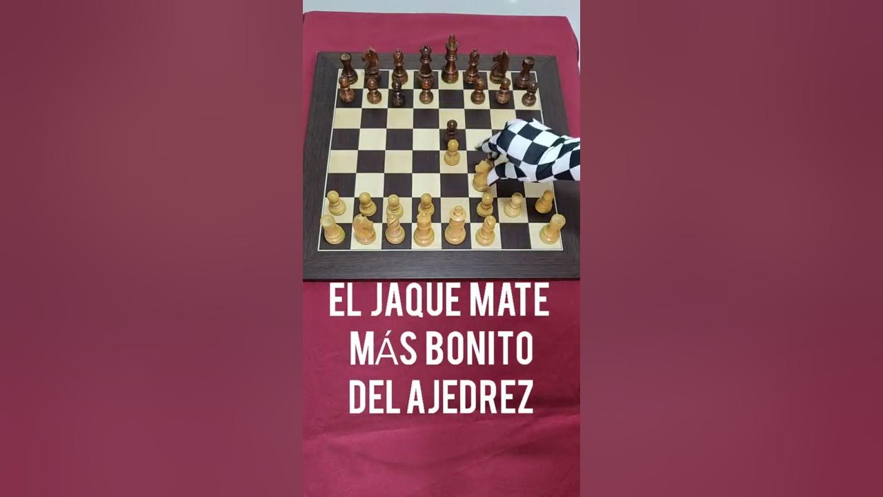 Jaque mate: las mejores app para jugar al ajedrez y ser la nueva Gambito de  dama