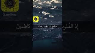 القارئ / الشيخ ناصر القطامي