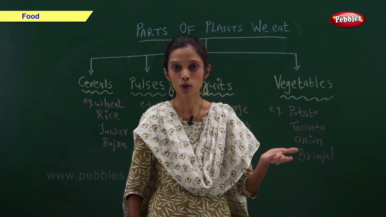 Learn About Food For Children | Science Basics For Kids | Science For Class 1